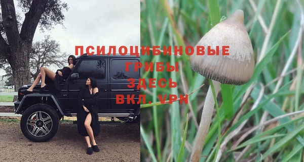 ECSTASY Михайловск