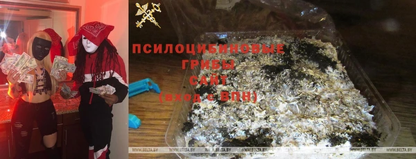 стаф Балахна