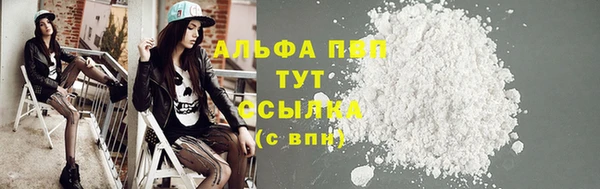 гидра Алексин